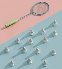 Image result for Hexham Private Badminton Club