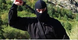 Image result for Manchester University Ninjutsu Society