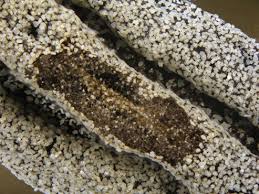 Attēlu rezultāti vaicājumam “Badhamiopsis sp.”