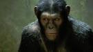 Rise of the Planet of the Apes