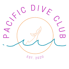 Image result for 3D Diving Club