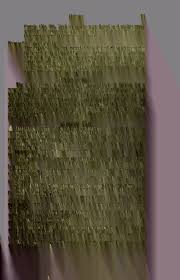 Attēlu rezultāti vaicājumam “Didymium xanthopus spores”