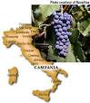 aglianico-gm.jpg