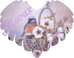 http://t0.gstatic.com/images?q=tbn:ANd9GcQ7IkR1pVKKhGtaPp8-NNva1OrCTJEw4MdFO5MJkO0RirA_iiT_Eg