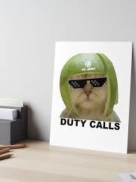 Image result for limecat