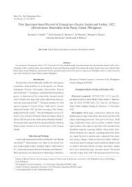 Image result for Eumegistus illustris