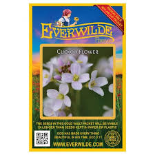 Attēlu rezultāti vaicājumam “Cardamine pratensis flower”