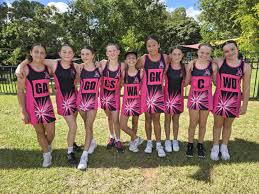 Image result for Lawn Netball Club