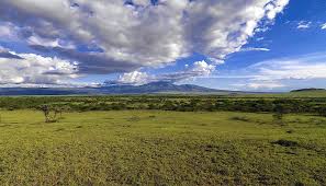 Znalezione obrazy dla zapytania gol