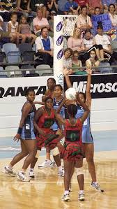 Image result for Integral Netball Club