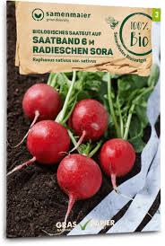 Image result for Radieschen