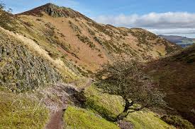 Image result for Long Mynd