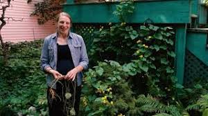 Attēlu rezultāti vaicājumam “Thladiantha dubia”