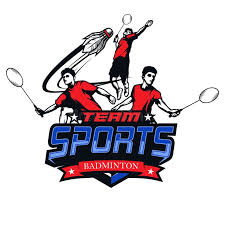 Image result for Vectors Badminton Club