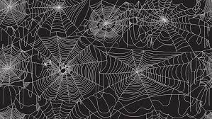 Image result for web patterns