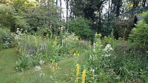 Image result for Priona Tuinen