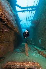 Image result for Exe To Sea Diving