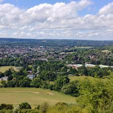 Image result for Box Hill SC