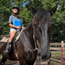 Image result for Greenways Riding Stable Lower Eashing