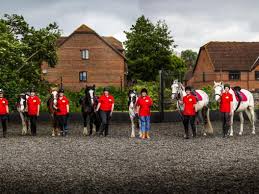 Image result for Bookham Riding School