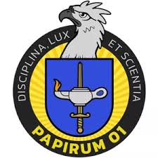 Image result for papirum