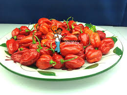 Afbeeldingsresultaat voor aji dulce sweet pepper