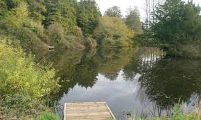 Image result for Maidstone Aces Mcc