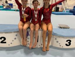 Image result for Heathrow Aerobics Gymnastics Club