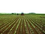 http://www.visionweeding.com/Agro-Vision/rows.jpg