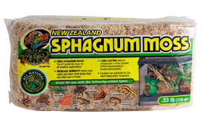 Attēlu rezultāti vaicājumam “Sphagnum”