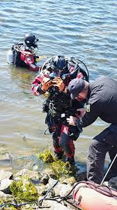 Image result for Breakwater Divers