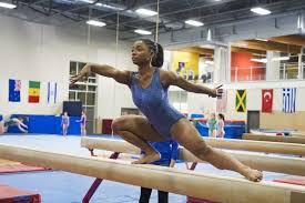 Image result for Phoenix Gymnastics