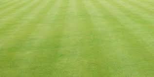 Image result for Kinghorn Bowling Club