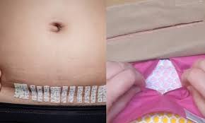 Image result for cesarskie