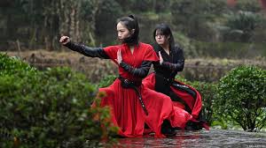 Image result for kung fu