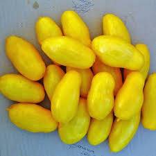 Afbeeldingsresultaat voor banana legs tomato