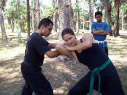 Image result for Bujinkan Crawley Dojo