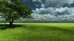 No7Boutique Collection Widescreen Wallpapers 1920x1080 high