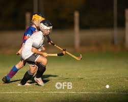 Image result for Lovat Shinty Club