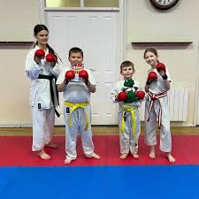 Image result for Taekwondo Witney
