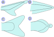 Fish anatomy - Wikipedia, the free encyclopedia