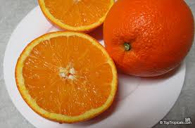 Attēlu rezultāti vaicājumam “Juglans x sinensis fruit”