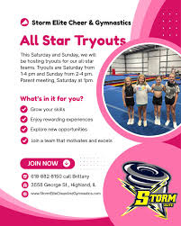 Image result for Storm Elite Trampoline Club