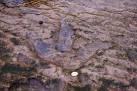 165 million years ago. - via Daymix