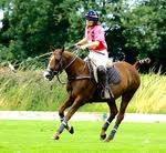 Image result for White Rose Polo Club
