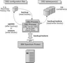 Image result for "Attachment Execution Services"