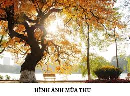 Kết quả hình ảnh cho hinh anh