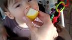 A Lemon Head in Training : LA Bitter Lemons