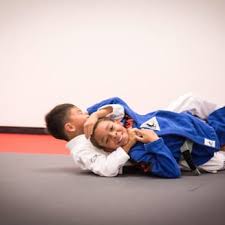 Image result for Guerrero Martial Arts