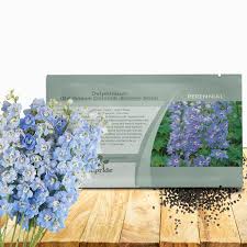 Attēlu rezultāti vaicājumam “Delphinium elatum  fruit”